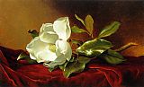Velvet Canvas Paintings - A Magnolia on Red Velvet